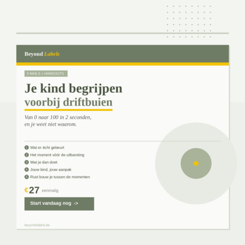 Je kind begrijpen - voorbij driftbuien
