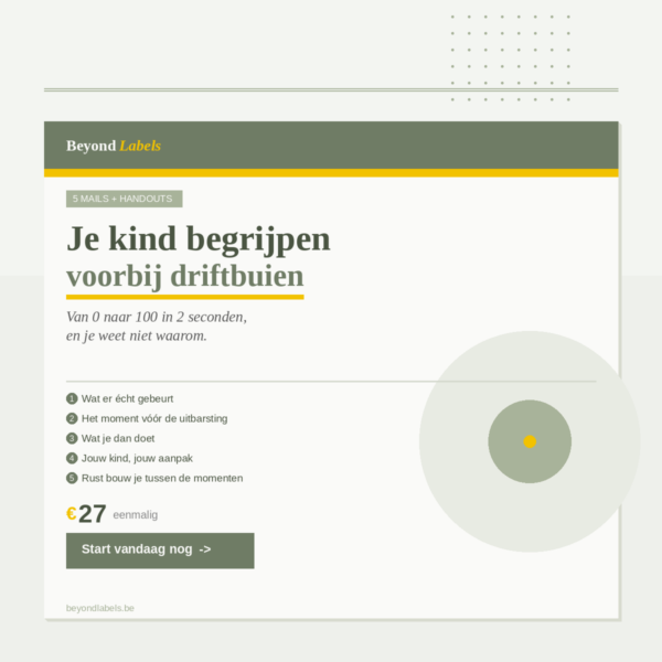 Je kind begrijpen - voorbij driftbuien